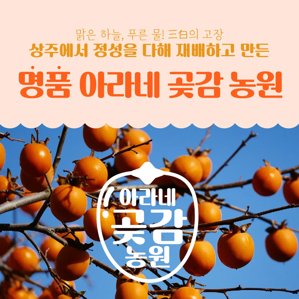 아라네 곶감농원 상품 상세페이지 디자인
