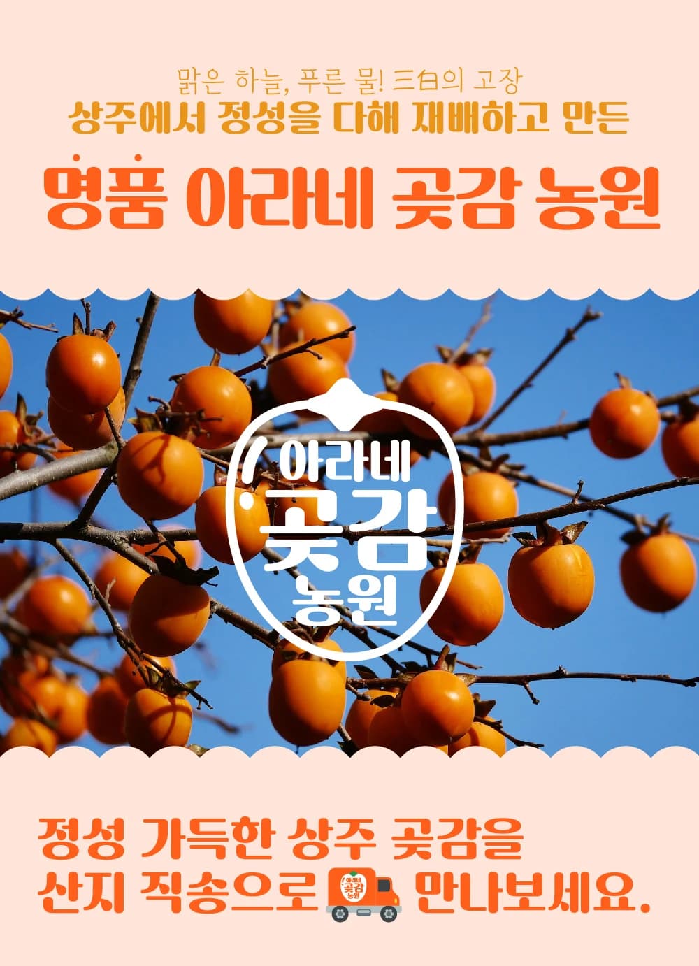 아라네곶감농원 산지 직송 상품 상세페이지 첫 화면