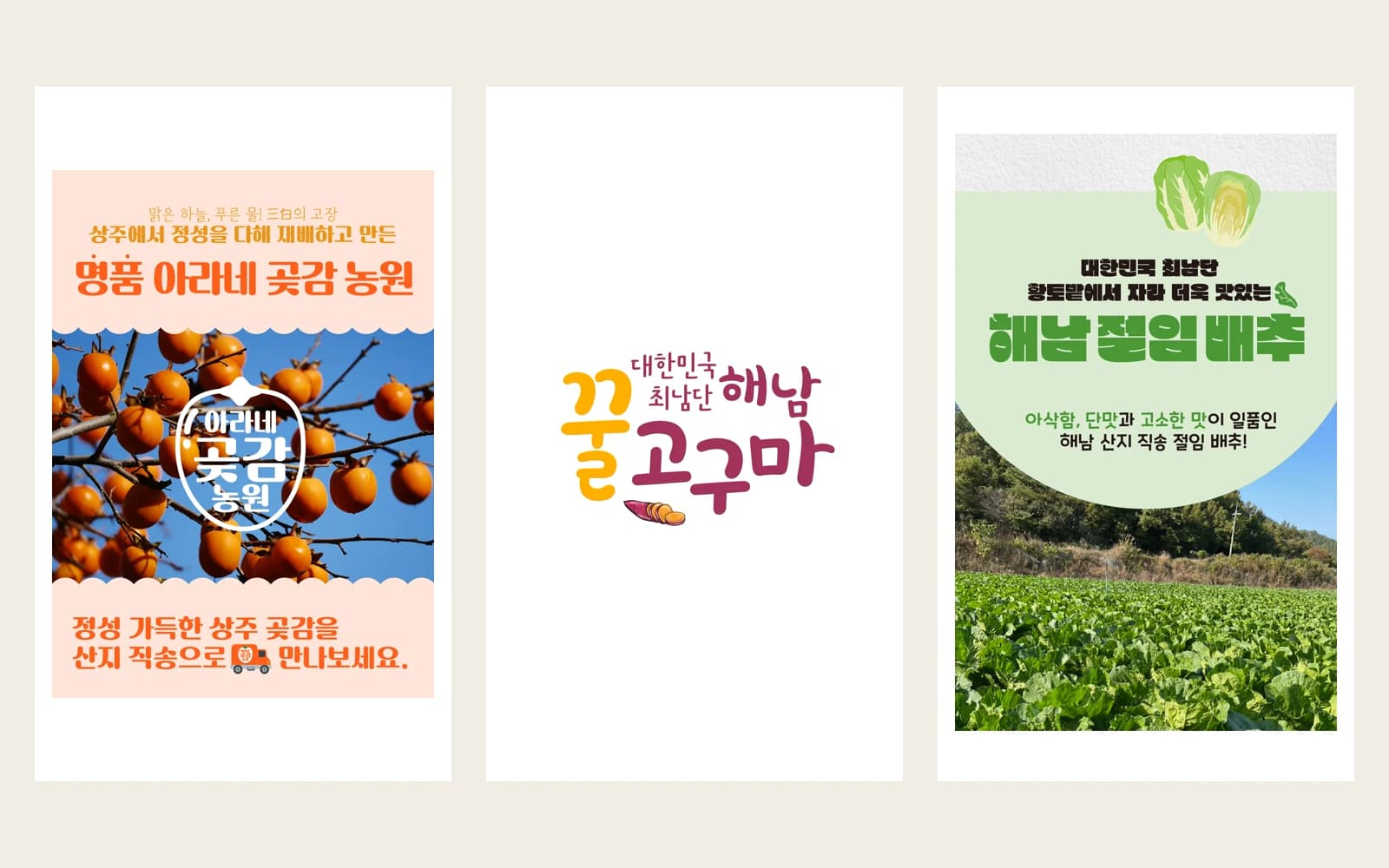 아라네곶감, 해남 꿀고구마, 해남 절임배추 상세페이지 디자인 모음
