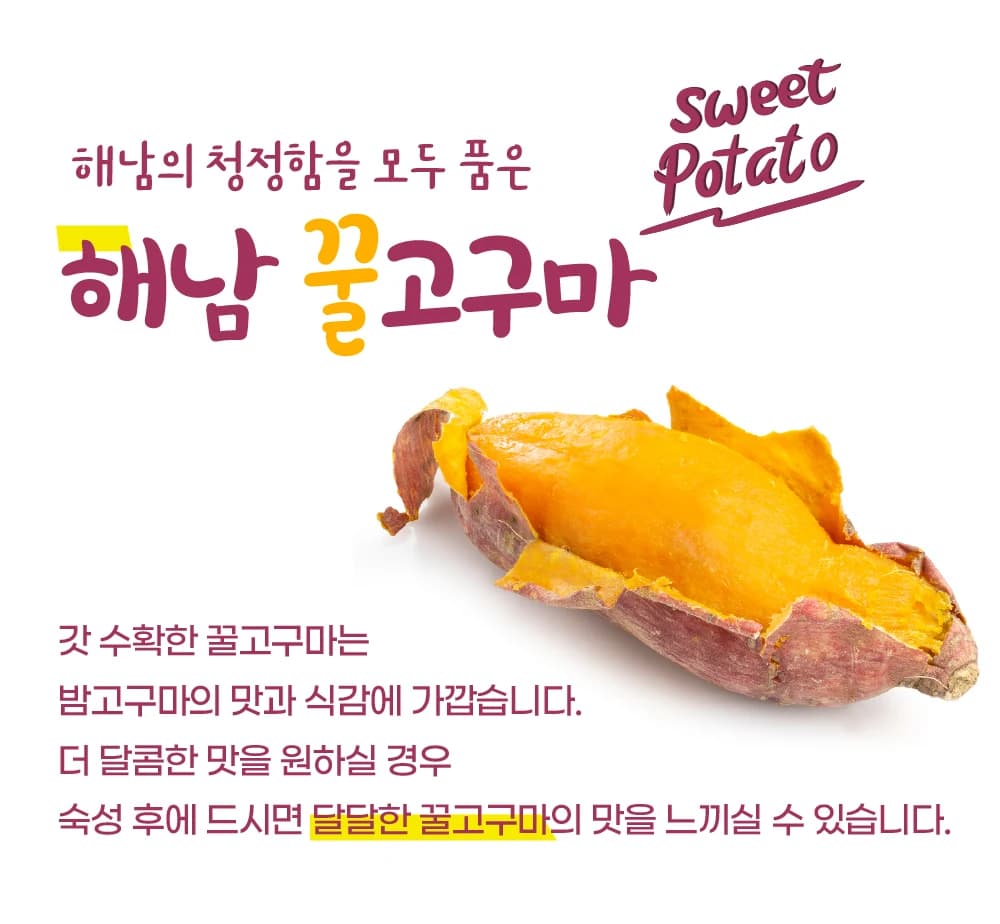 해남 꿀고구마 품종과 맛 설명 상세페이지