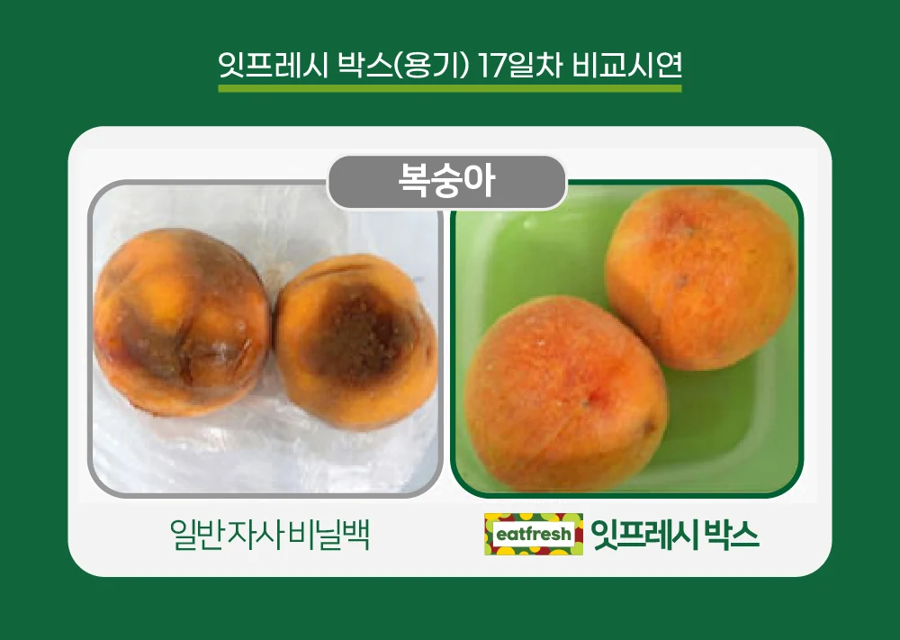 잇프레시 박스(용기) 17일차 비교시연 — 복숭아