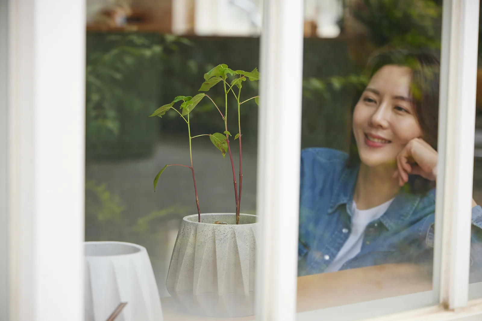 오우투 네이쳐 플라워팟이 놓인 창가 풍경